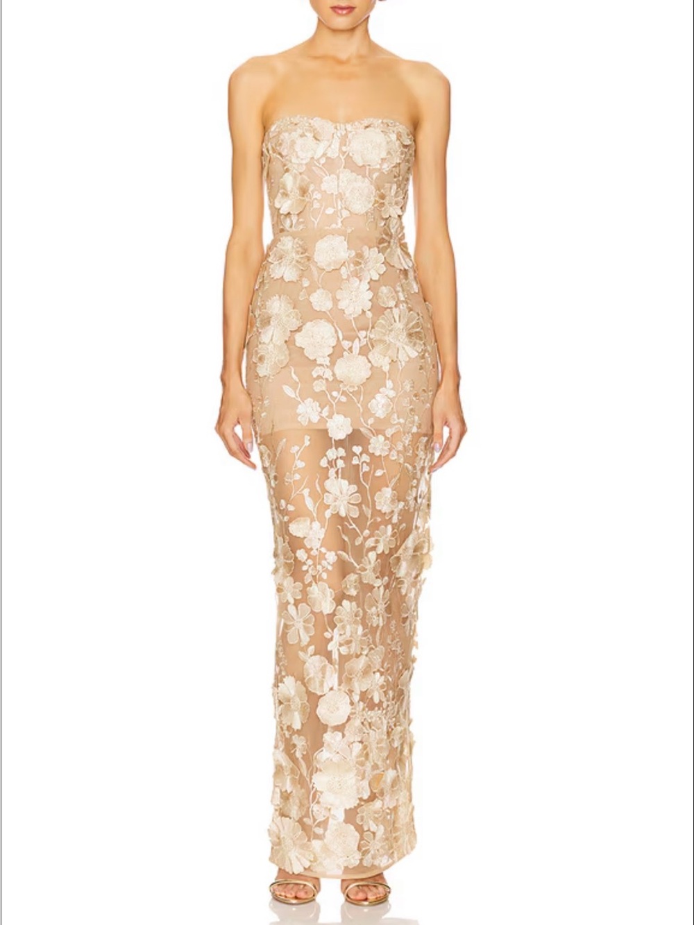 Bronx and Banco Strapless Nude Floral Lace Gown